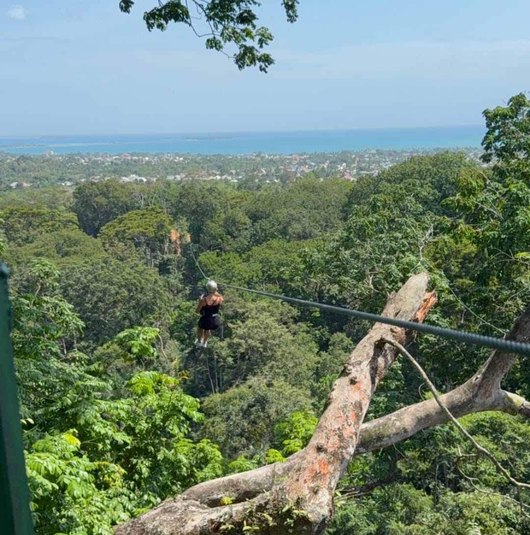 Zipline canopy tour Masingini Forest Zanzibar