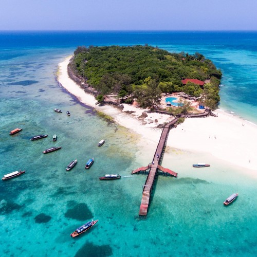 Prison Island and Dolphin Swim tour